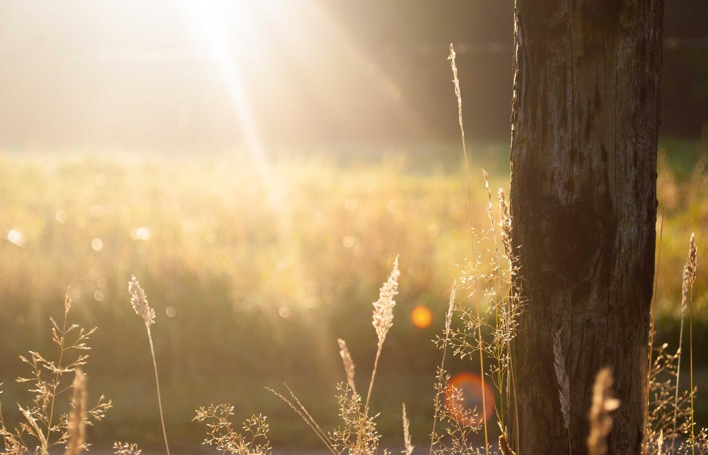 ByteCraft IT командасы талқылауда